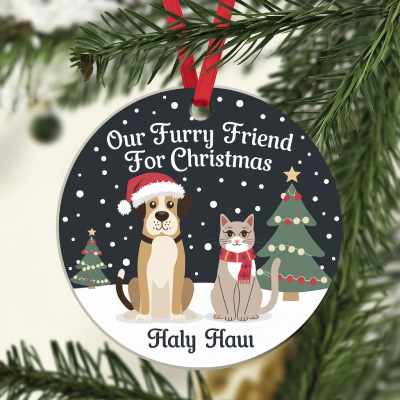 Christmas Ornament Ideas for Pets