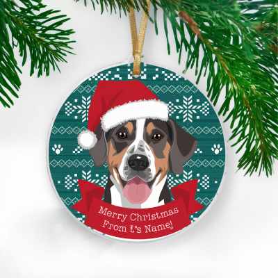 pet Christmas Ornament Ideas